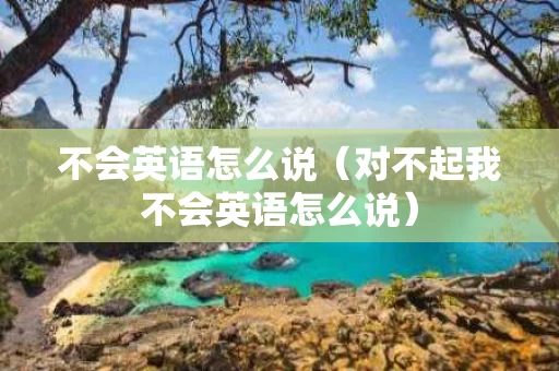 不会英语怎么说（对不起我不会英语怎么说）