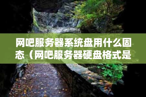 网吧服务器系统盘用什么固态（网吧服务器硬盘格式是什么）