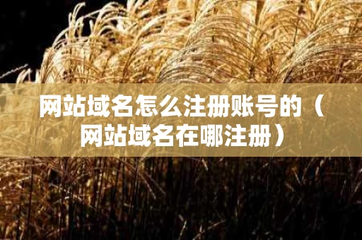 网站域名怎么注册账号的（网站域名在哪注册）