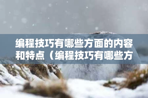 编程技巧有哪些方面的内容和特点（编程技巧有哪些方面的内容和特点呢）