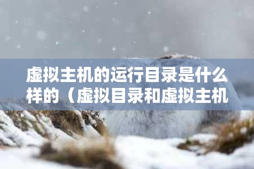 虚拟主机的运行目录是什么样的（虚拟目录和虚拟主机各有何用途）
