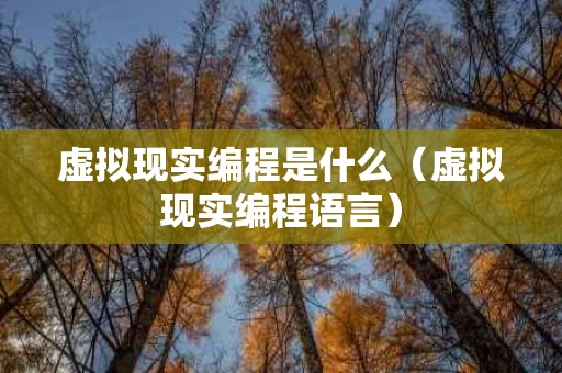 虚拟现实编程是什么（虚拟现实编程语言）