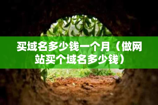 买域名多少钱一个月（做网站买个域名多少钱）