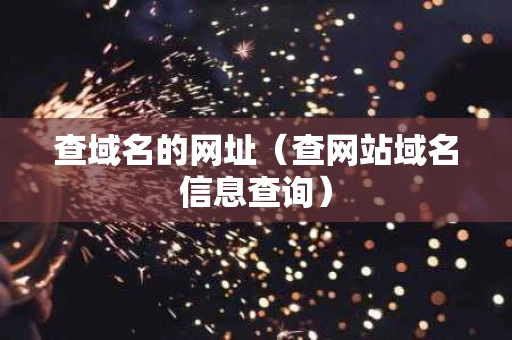 查域名的网址（查网站域名信息查询）