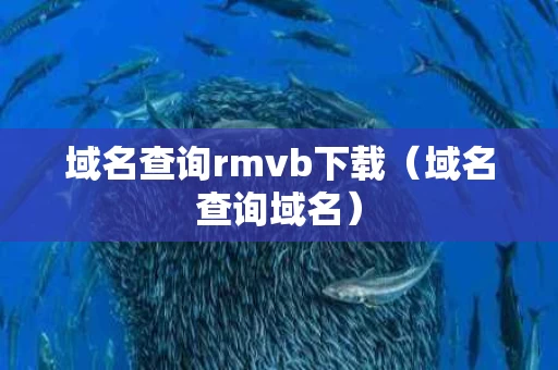 域名查询rmvb下载（域名查询域名）