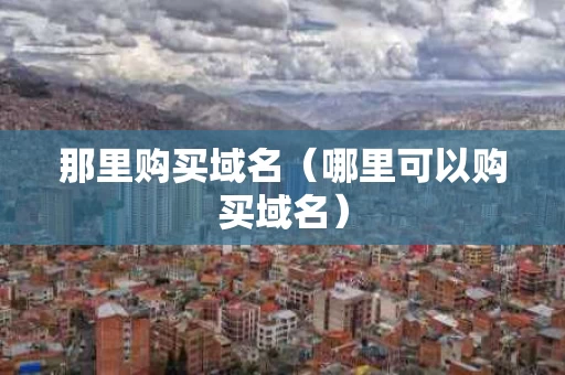 那里购买域名（哪里可以购买域名）