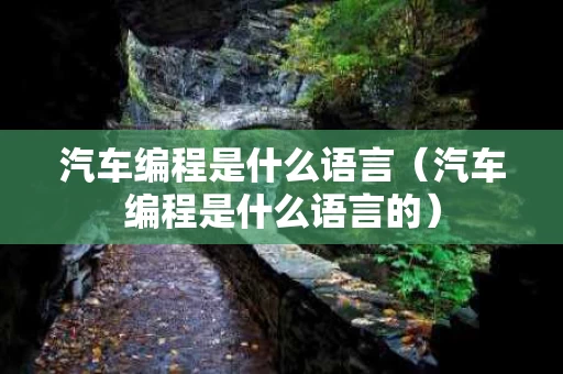汽车编程是什么语言（汽车编程是什么语言的）