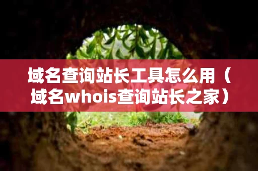 域名查询站长工具怎么用（域名whois查询站长之家）