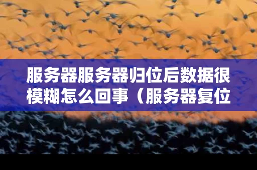 服务器服务器归位后数据很模糊怎么回事（服务器复位什么意思）