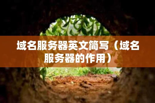 域名服务器英文简写（域名服务器的作用）