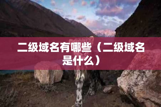 二级域名有哪些（二级域名是什么）