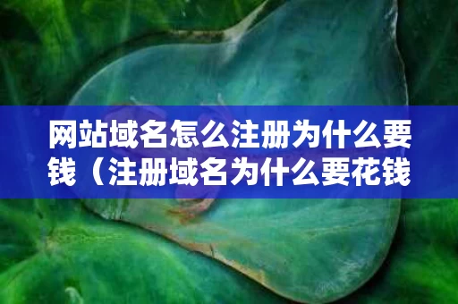 网站域名怎么注册为什么要钱（注册域名为什么要花钱）