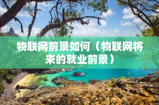 物联网前景如何（物联网将来的就业前景）