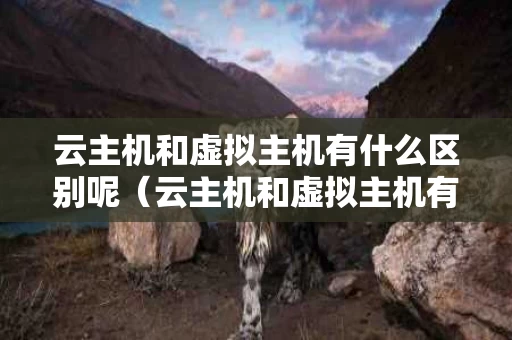 云主机和虚拟主机有什么区别呢（云主机和虚拟主机有什么区别呢图片）
