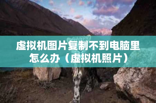 虚拟机图片复制不到电脑里怎么办（虚拟机照片）