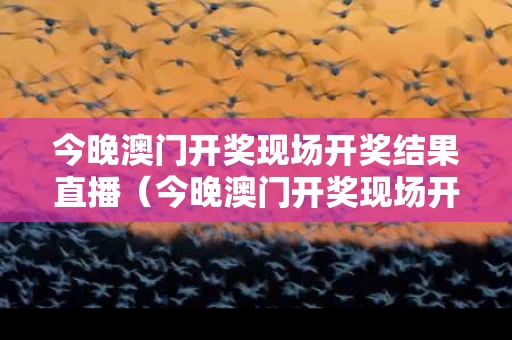 今晚澳门开奖现场开奖结果直播（今晚澳门开奖现场开奖结果直播回放）