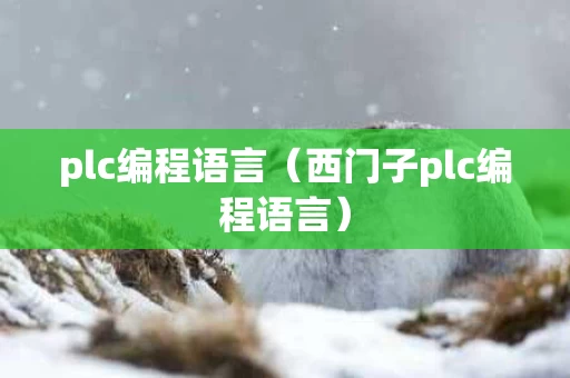plc编程语言（西门子plc编程语言）