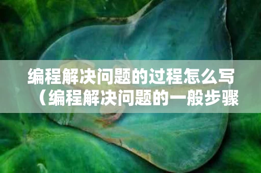 编程解决问题的过程怎么写（编程解决问题的一般步骤是 ?）