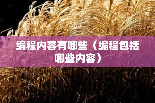 编程内容有哪些（编程包括哪些内容）