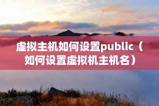 虚拟主机如何设置public（如何设置虚拟机主机名）