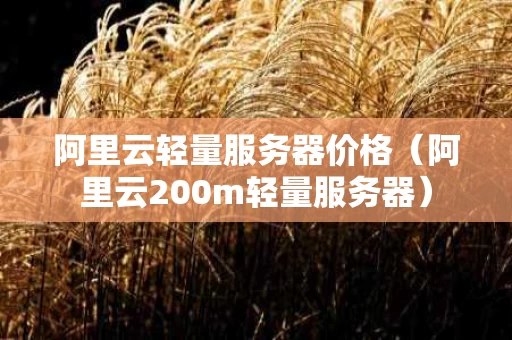 阿里云轻量服务器价格（阿里云200m轻量服务器）