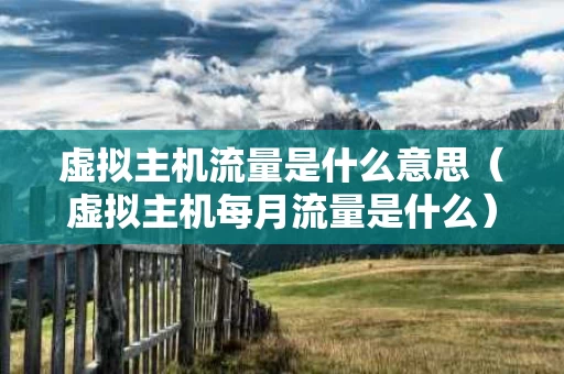 虚拟主机流量是什么意思（虚拟主机每月流量是什么）