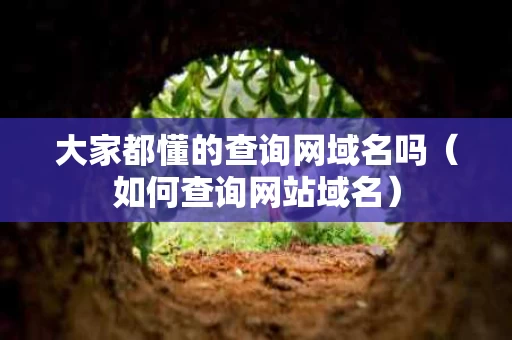 大家都懂的查询网域名吗（如何查询网站域名）