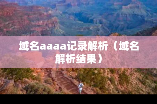 域名aaaa记录解析（域名解析结果）