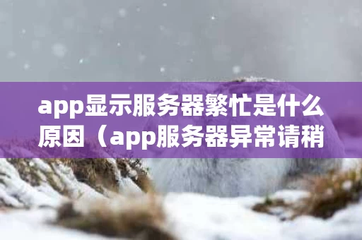 app显示服务器繁忙是什么原因（app服务器异常请稍后再试怎么办）