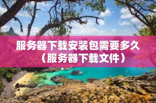 服务器下载安装包需要多久（服务器下载文件）