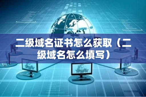 二级域名证书怎么获取（二级域名怎么填写）