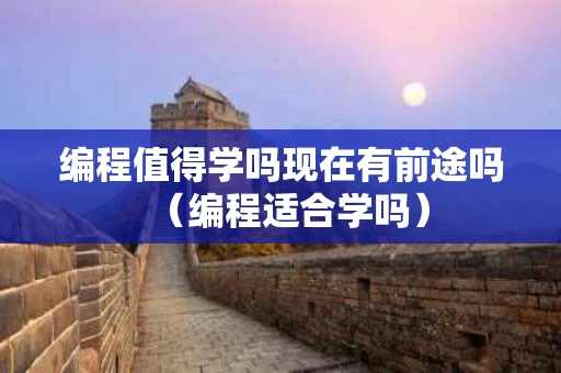 编程值得学吗现在有前途吗（编程适合学吗）