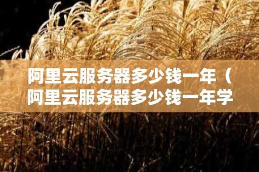 阿里云服务器多少钱一年（阿里云服务器多少钱一年学生价）