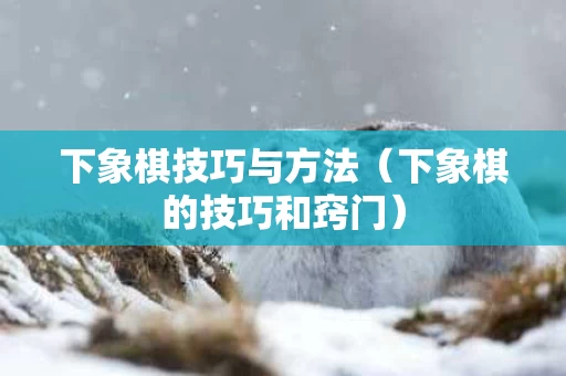 下象棋技巧与方法（下象棋的技巧和窍门）