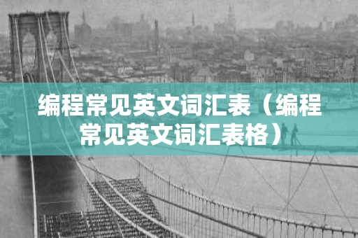 编程常见英文词汇表（编程常见英文词汇表格）