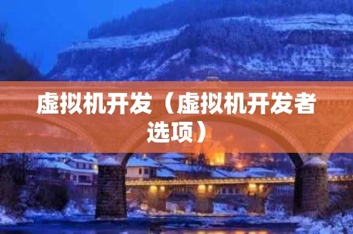 虚拟机开发（虚拟机开发者选项）