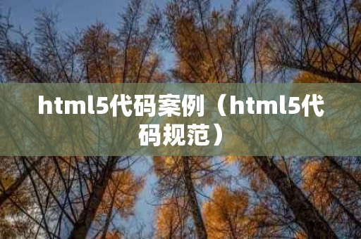 html5代码案例（html5代码规范）