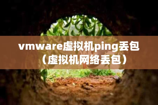vmware虚拟机ping丢包（虚拟机网络丢包）
