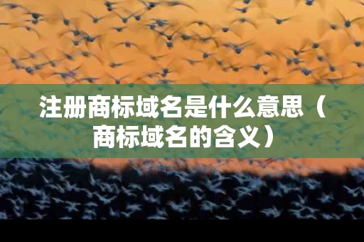 注册商标域名是什么意思（商标域名的含义）