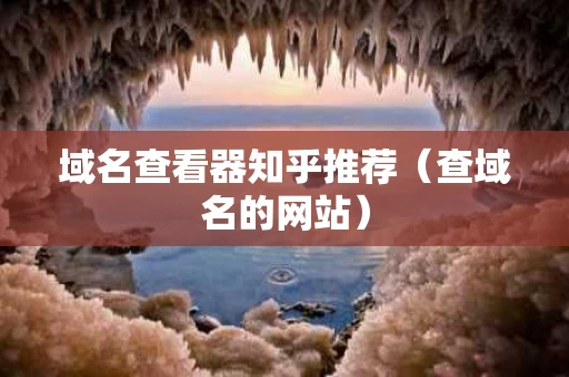 域名查看器知乎推荐（查域名的网站）