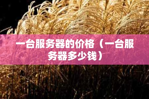 一台服务器的价格（一台服务器多少钱）