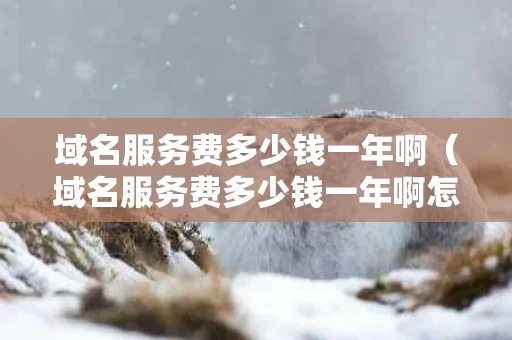 域名服务费多少钱一年啊（域名服务费多少钱一年啊怎么算）