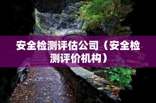 安全检测评估公司（安全检测评价机构）