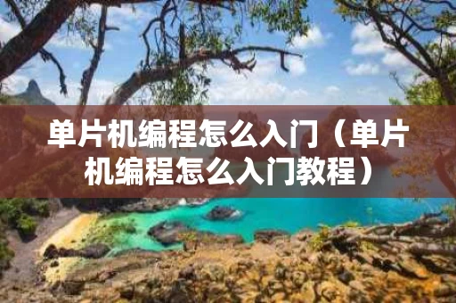 单片机编程怎么入门（单片机编程怎么入门教程）