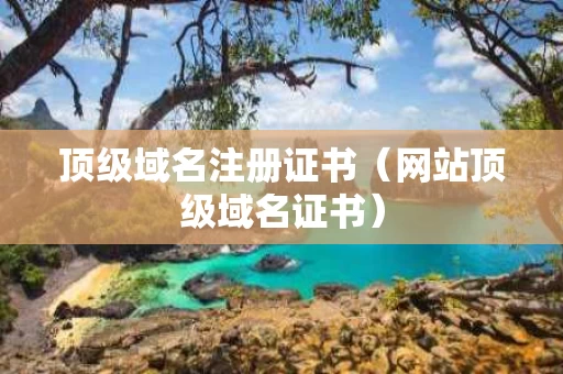 顶级域名注册证书（网站顶级域名证书）
