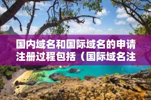 国内域名和国际域名的申请注册过程包括（国际域名注册商）