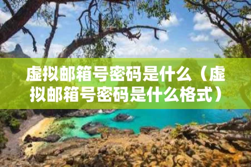 虚拟邮箱号密码是什么（虚拟邮箱号密码是什么格式）