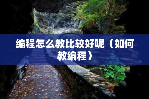 编程怎么教比较好呢（如何教编程）
