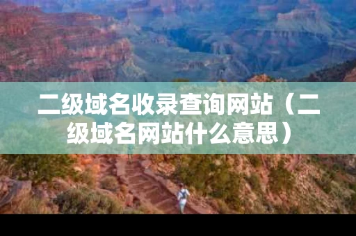 二级域名收录查询网站（二级域名网站什么意思）