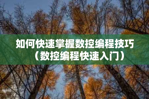 如何快速掌握数控编程技巧（数控编程快速入门）